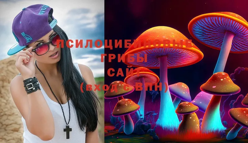 Галлюциногенные грибы Cubensis Прокопьевск